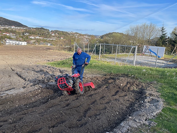 Product image 1 of 10