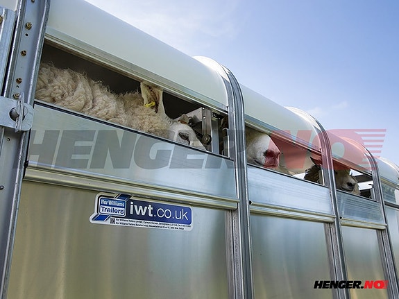 Product image 3 of 9