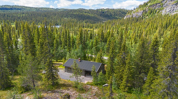 Velkommen til Nordre Fjellstølvegen 220 - Gode solforhold og selger kan bekrefte at solen går ned ca. 21.30 på sommeren. Foto: Christine Stokkebryn