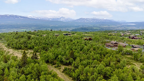 Tomtene ligger idyllisk til i øvre del av hyttefeltet. Når tomtene ligger ca. 1030 m.o.h. kan man trygt si at man er på fjellet - og Vasetområdet har alt et fjellområde trenger