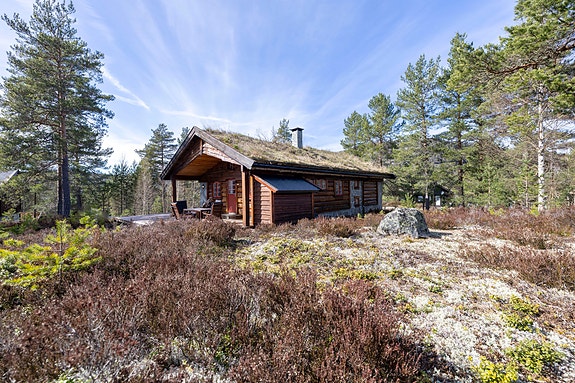 PRIVATmegleren Park ved Lars Jakob Aarak har gleden av å få presentere denne flotte hytta med idyllisk beliggenhet på Bjønntjønn/Gautefall i Nissedal kommune.