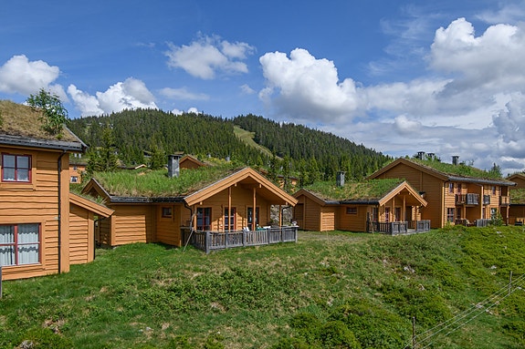 Velkommen til Eftasvegen 17! Trivelig hytte i Natrudstilen Borettslag.