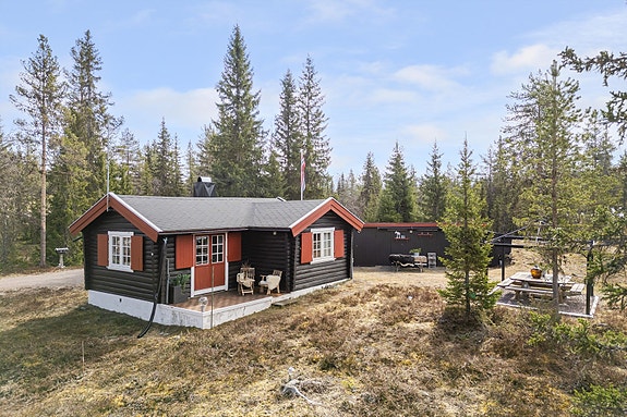 Velkommen til Eltdalsvegen 1003 og denne sjarmerende hytta! Fotograf: Bernat Tubau,