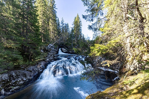 Nederst på tomten renner Vesleelva og her finner du også en godt skjult perle. (Foto: oaho)