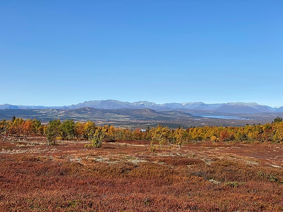 Velkommen til Hoftun Hyttefelt ca. 890 m.o.h - Her er 7 av 13 tomter solgt!