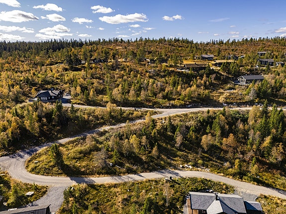 Velkommen til Fjellseterlia!