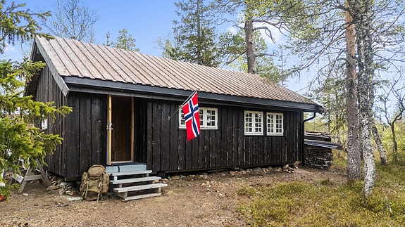 Lekker hytte med høy standard fra 2022. Flott beliggenhet få meter fra Grønningsvannet. Egnet for bruk ved alle årstider - Bilde 6