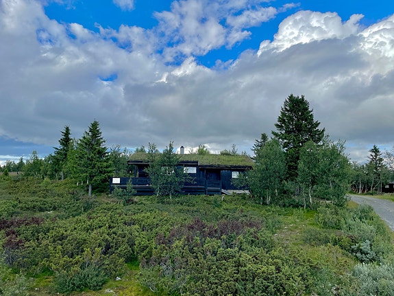 Innholdsrik familiehytte på Venabygdsfjellet | 4 sov, 2 bad, badstue | Usjenert beliggenhet | Parkering m/​elbillader - More