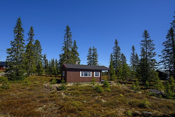 Velkommen til Sjusjøen-Brøttum 1569! Foto: Lars Marius Bækkevold