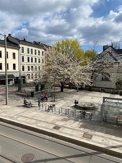 Nyoppusset leilighet sentralt på Grünerløkka! Ledig fra 1. august., Oslo