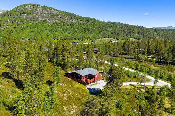 Hovden sør - Løyningsåni - Trivelig og innholdsrik hytte på flott utsiktstomt, Bykle