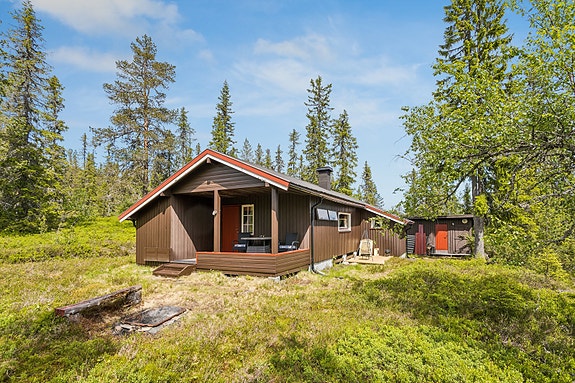 Skramstadsætra- Hytte med skjermet beliggenhet, 1,2 mål tomt, gode solforhold og nærhet til vakker natur, jakt og fiske., Rena