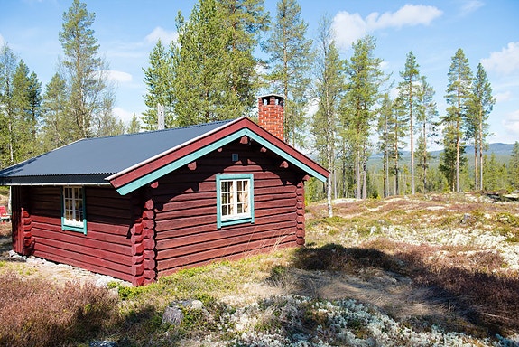 Ren skogeiendom i Rendalen, samlet areal 2 556 dekar. Velholdt koie med uthus. Rike jakt- og fiskemuligheter.