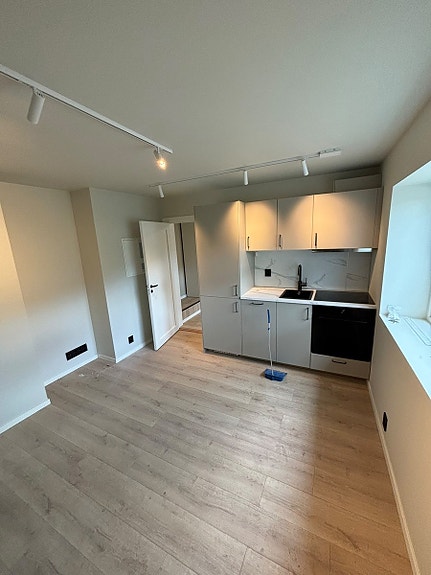 Nyoppusset leilighet med sentral beliggenhet, møblert og internett ink, Bergen