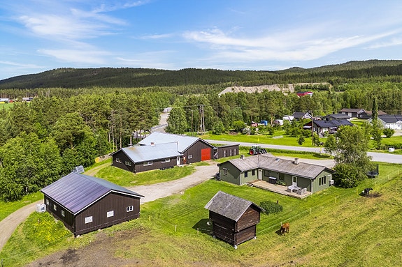 Aumset Gård | skog | Melkeproduksjon og kjøttfe | 508 daa totalt | Seter |10 min til Tynset, Tynset