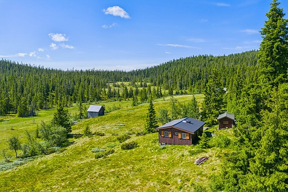 Velkommen til Aurtjernåsvegen 91! Fotograf: Tor Solberg.