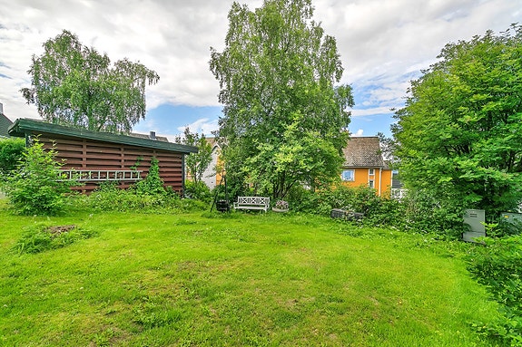 Skjermet hage på baksiden omkranset av busker og beplantninger.