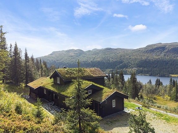 Synnfjell er et flott helårsområde med fine turmuligheter både sommer og vinter