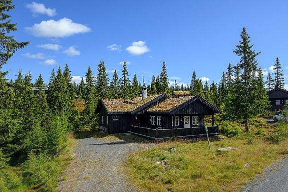 Velkommen til Sjusjøen-Brøttum 2752! Foto: Lars Marius Bækkevold.