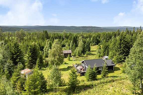 Velkommen til Norskogbygda og Løvhaugvegen 434! Fotograf: Bernat Tubau.