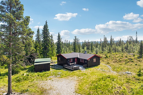 Eiendomsmegler Ida Follinglo presenterer denne trivelige hytten i åsen ovenfor Hølervatnet. Foto: EFKT v/ Tor Solberg