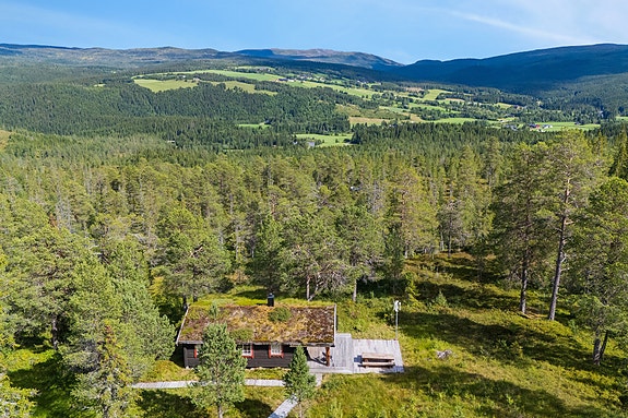 Velkommen til Risvatnet-Småliin 79 - en trivelig laftet hytte beliggende på en høyde i et flott turterreng