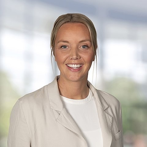 Meglerbilde