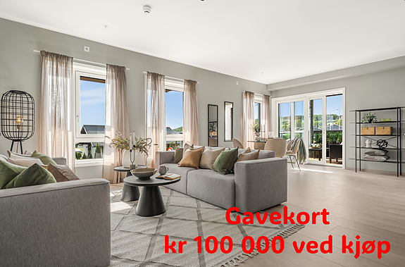 Ved kjøp i juli 2026 tilbyr selger rabatt kr 100 000 som kan . benyttes til tilvalg (solskjerming, møbler, skyvedørsgarderobe etc) eller til dekning av felleskostnader, avhengig av hva som passer best for kjøper.