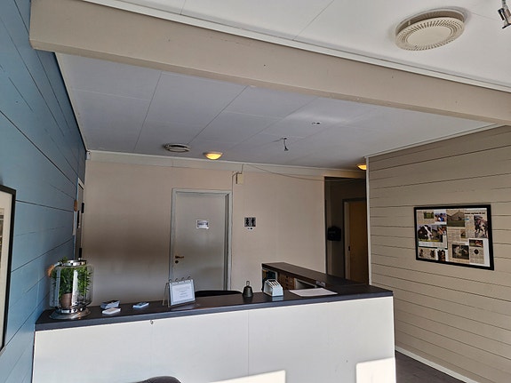 Respesjon hundepensjonat