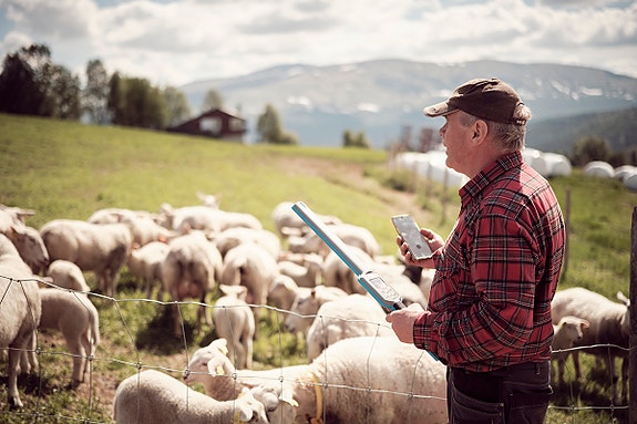 Bilde 6 av 6 i jobbannonse-galleriet