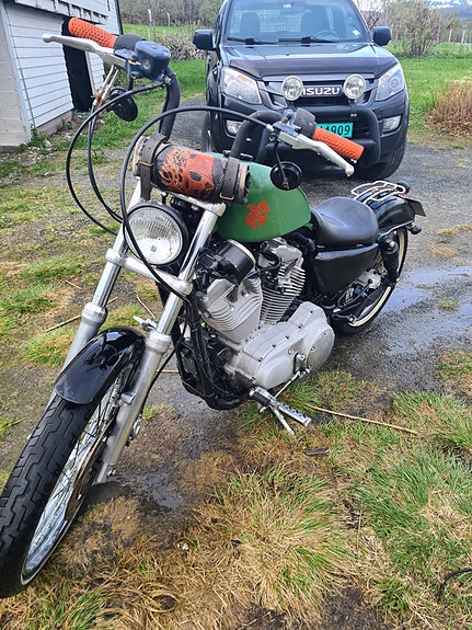Harley-Davidson XL 883 Sportster 4 of 6