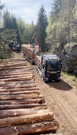 Bilde 4 av 6 i jobbannonse-galleriet