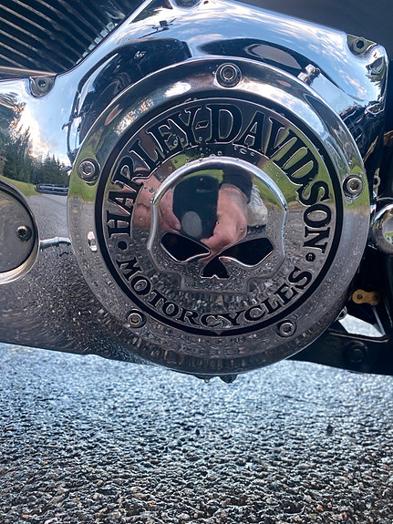 Harley-Davidson FXST Softail Standard / Custom 9 of 19