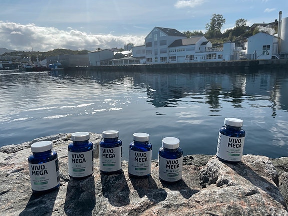 Bilde 2 av 5 i jobbannonse-galleriet