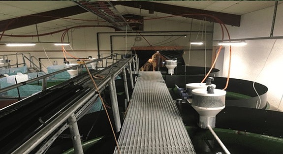 Bilde 2 av 4 i jobbannonse-galleriet