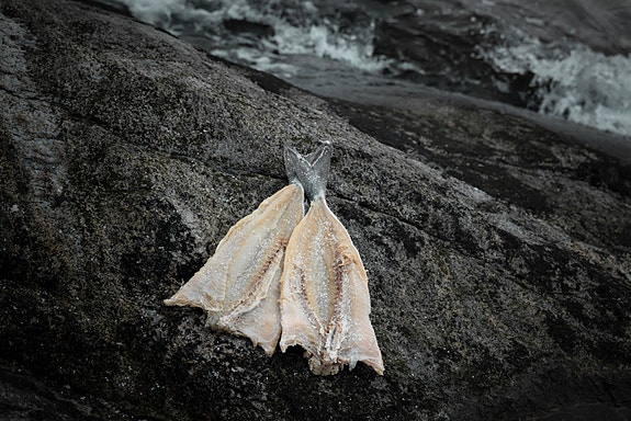 Bilde 4 av 4 i jobbannonse-galleriet