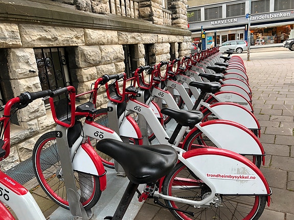 Bilde 1 av 1 i jobbannonse-galleriet