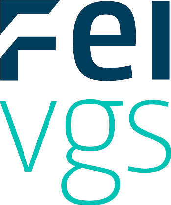 FEIRING VIDEREGÅENDE SKOLE AS logo