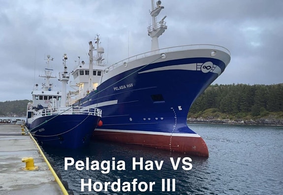 Bilde 1 av 1 i jobbannonse-galleriet