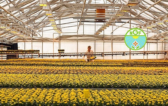 Bilde 3 av 6 i jobbannonse-galleriet