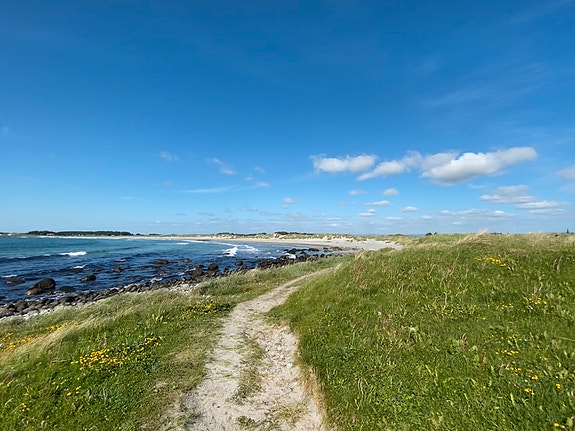 Bilde 6 av 8 i jobbannonse-galleriet