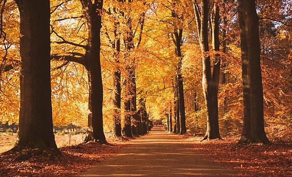 Bilde 1 av 1 i jobbannonse-galleriet