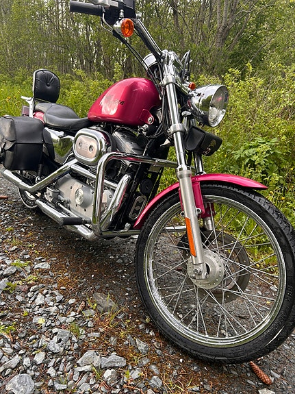 Harley-Davidson XL 883 Sportster 4 of 21