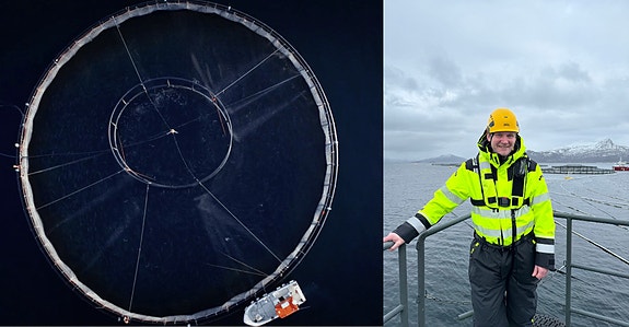 Bilde 2 av 3 i jobbannonse-galleriet