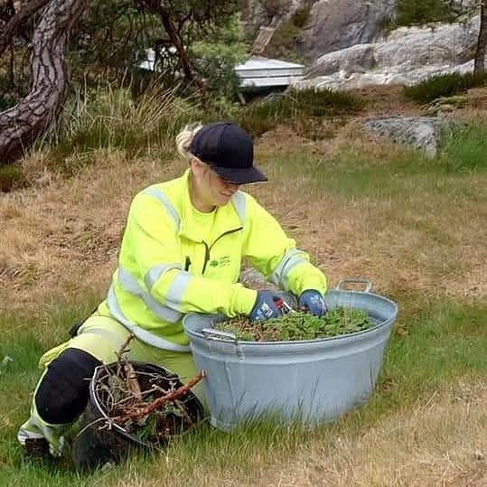 Bilde 6 av 8 i jobbannonse-galleriet