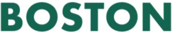 Boston Group logo