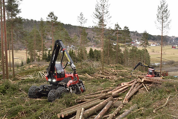 Bilde 2 av 5 i jobbannonse-galleriet