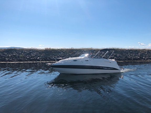 Stingray CS 250 3 of 5