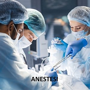 Bilde 1 av 3 i jobbannonse-galleriet