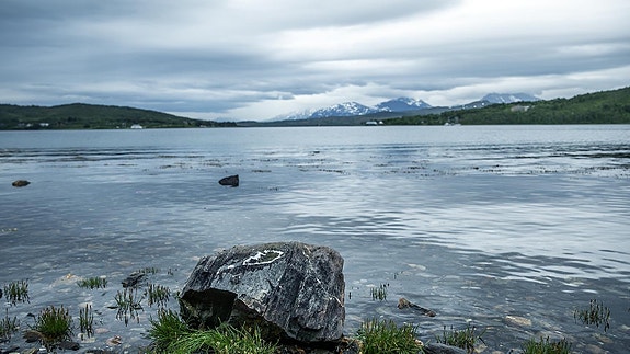 Bilde 1 av 1 i jobbannonse-galleriet